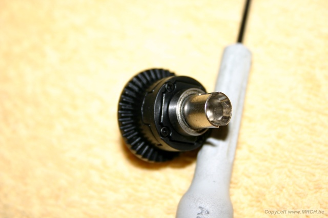 mlst-bl-05.jpg